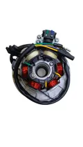 Зажигание YX-140/TTR-125 6 катушек на платформе ЦБ-00001444