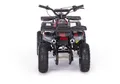 Квадроцикл MOTAX GRIZLIK Х16 ES BW