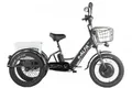 Трицикл GREEN CITY e-ALFA Trike
