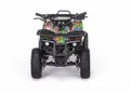 Квадроцикл MOTAX GRIZLIK Х16 ES BW