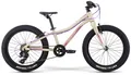 Велосипед детский Merida Matts J20+ Eco 20&quot;