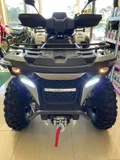 Квадроцикл Linhai M550L карбюратор