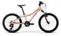 Велосипед детский Merida Matts J20 Eco 20&quot;