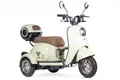 Трицикл электрический Rutrike Шкипер NEW