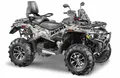 Квадроцикл STELS ATV010 (ТE)