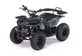 Квадроцикл MOTAX GRIZLIK Х16 ES BW