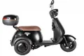 Трицикл электрический Rutrike Радиус