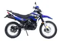 Мотоцикл Racer Panther RC300GY-8X