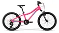 Велосипед детский Merida Matts J20 Eco 20&quot;
