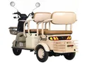 Трицикл электрический Gelbert Atlas 48V/60V 600Вт