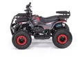 Квадроцикл MOTAX GRIZLIK Х16 ES BW