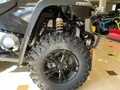 Квадроцикл Linhai M550L карбюратор