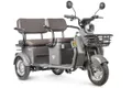 Трицикл электрический Rutrike Топик