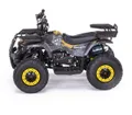 Квадроцикл MOTAX GRIZLIK Х16 ES BW