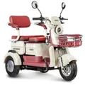 Трицикл электрический Gelbert Mercury 48V/60V 650Вт