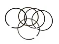 Кольца 4-х такт 100 см 00002250