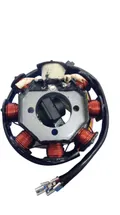 Зажигание мотоцикл CG/CB 125/150 8 катушек 5 проводов д-32мм