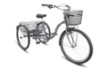 Велосипед STELS Energy VI 26 17&quot; V010