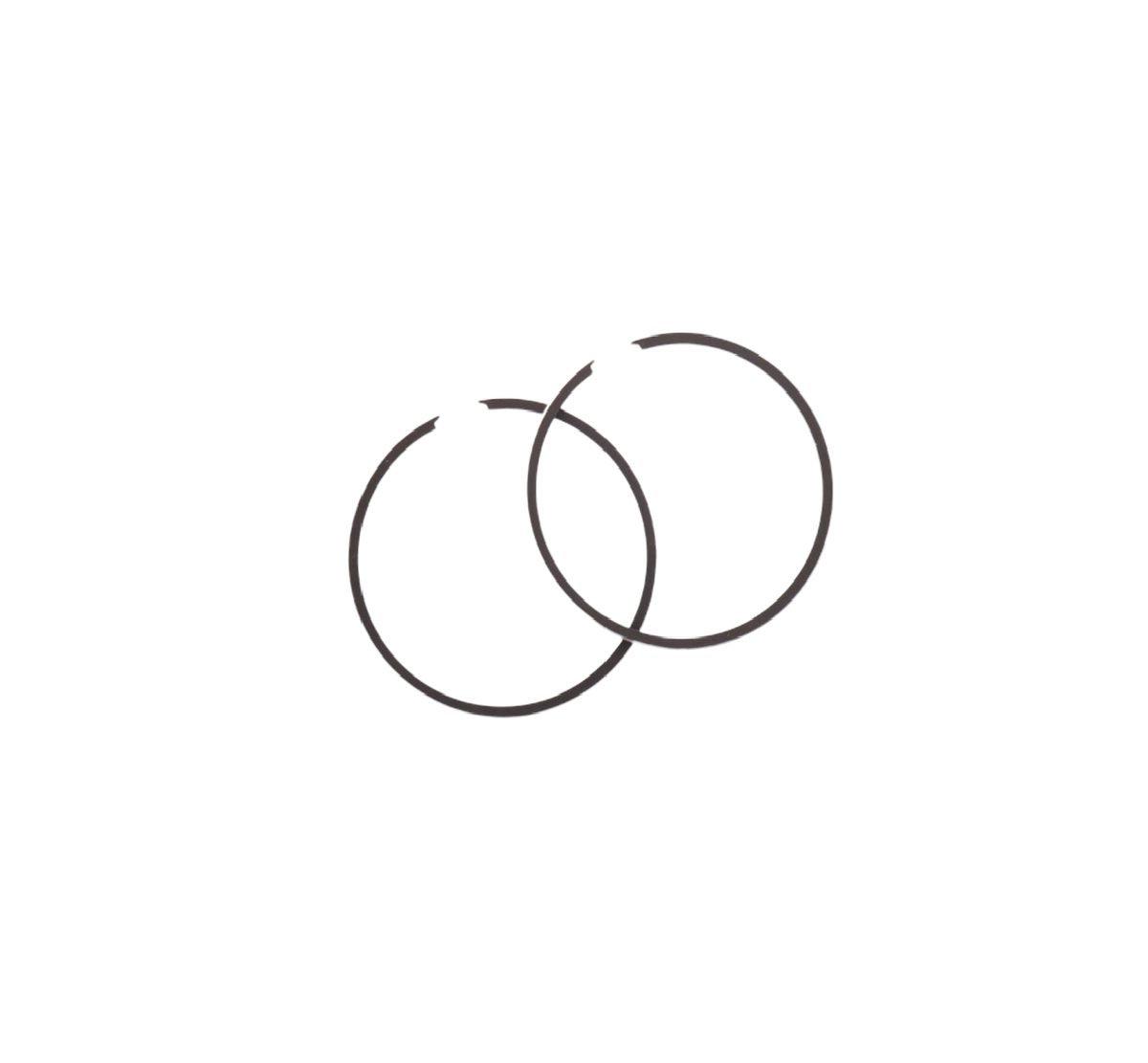 Кольца Suzuki (АD) 1,00