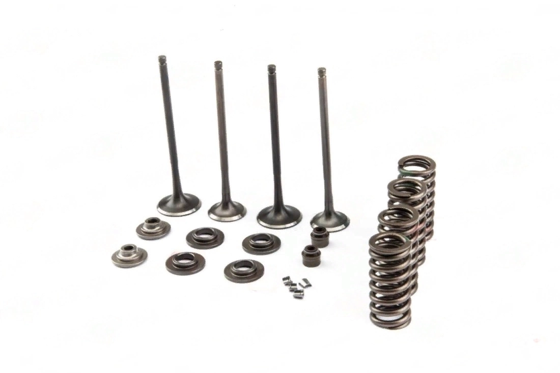 Рем. комплект клапанов ГРМ 174MN-3 (CBS300) ZS