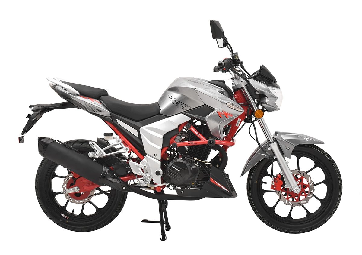 Мотоцикл Regulmoto Raptor New 250