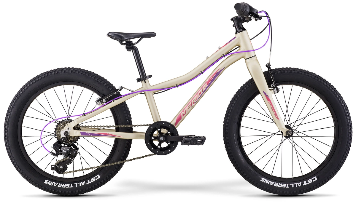 Велосипед детский Merida Matts J20+ Eco 20&quot;