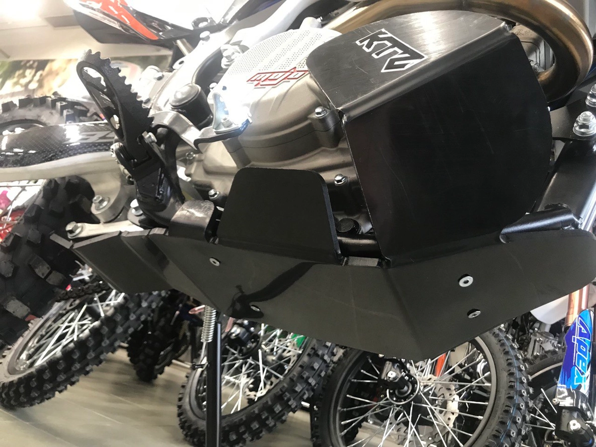 Защита KTZ для BSE Z10 (ZS 172 FMM) 602.12