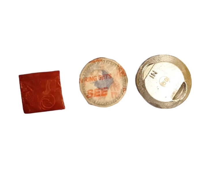 Поршень ДЕЛЬТА 0,5