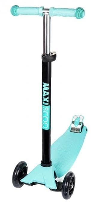 Самокат 3-х колесный Maxiscoo Junior									