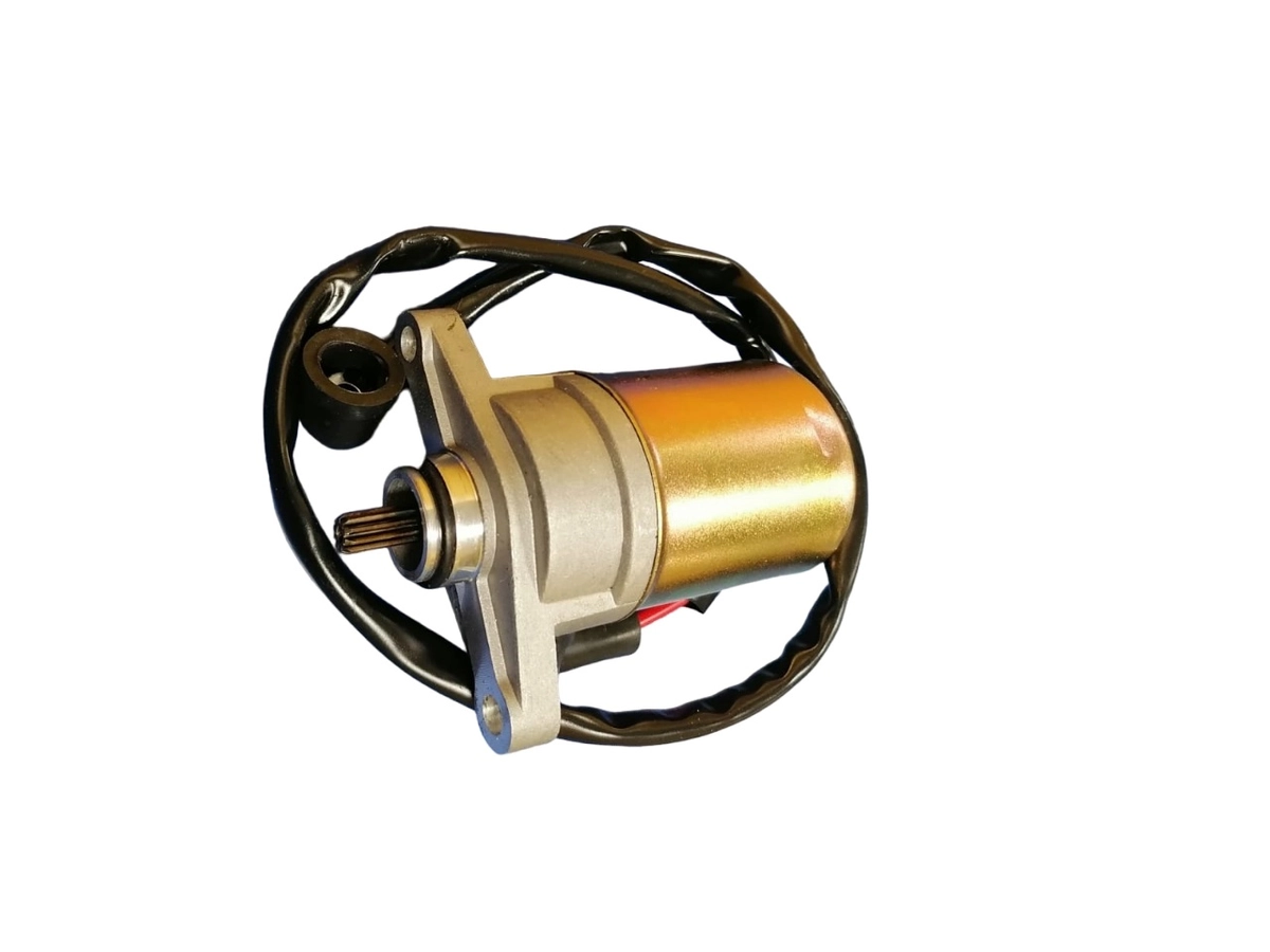 Стартер 4-х тактный 50*80 см3 GY000248