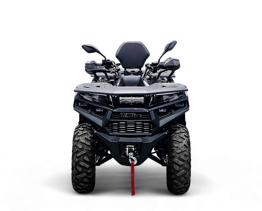 Квадрицикл Bizon YK250 LUX EFI (ПТС)