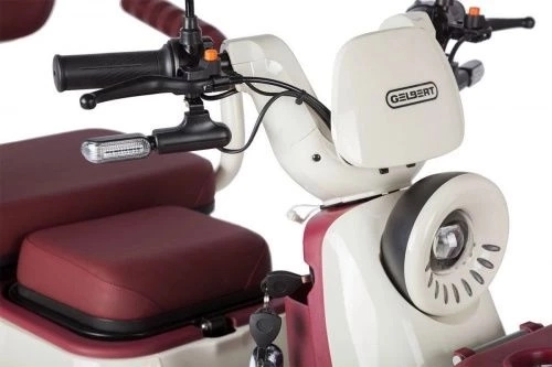 Трицикл электрический Gelbert Mercury 48V/60V 650Вт