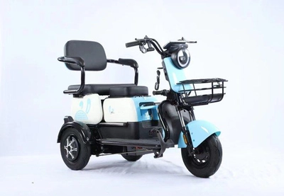 Трицикл электрический Gelbert Vega 48V/60V 600Вт