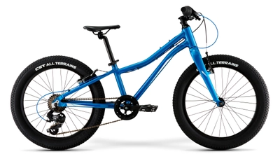 Велосипед детский Merida Matts J20+ Eco 20&quot;
