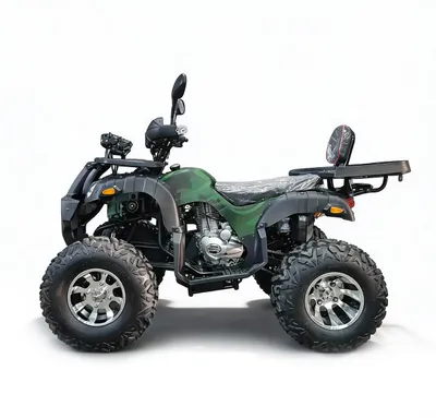 Квадроцикл Grizzly 250 привод цепной