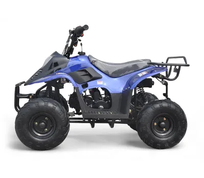 Квадроцикл Raptor 110