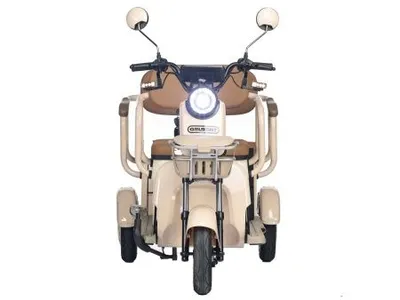 Трицикл электрический Gelbert Atlas 48V/60V 600Вт