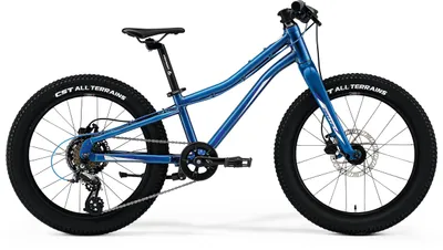 Велосипед детский Merida Matts J20+ 