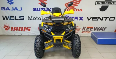 Квадроцикл Dazzle ATV200 AFB200 Комплектация 2