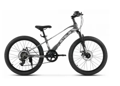Велосипед STELS 22&quot; Leader-220 MD