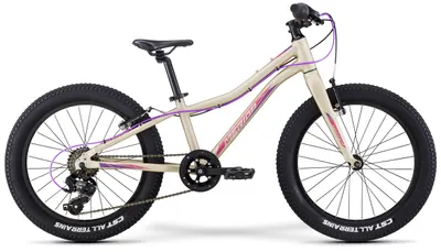 Велосипед детский Merida Matts J20+ Eco 20&quot;
