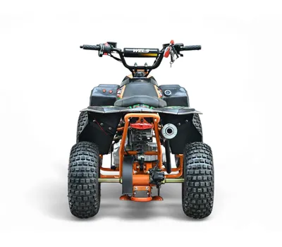 Квадроцикл WELS TUKAH 110