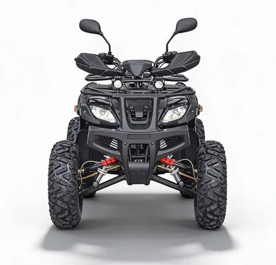 Квадроцикл GRIZZLY 200cc 