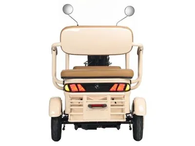 Трицикл электрический Gelbert Atlas 48V/60V 600Вт
