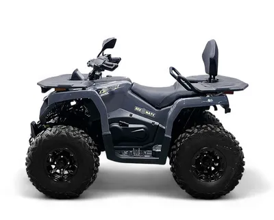 Квадрицикл Bizon YK250 LUX EFI (ПТС)