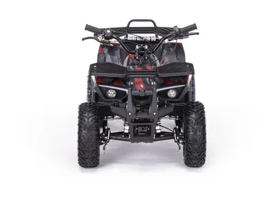 Квадроцикл MOTAX GRIZLIK Х16 ES BW