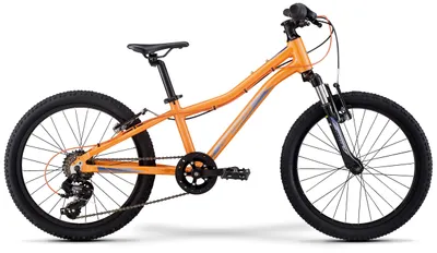 Велосипед детский Merida Matts J20 Eco 20&quot;