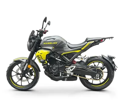 Мотоцикл Regulmoto Nibbler 300 4V