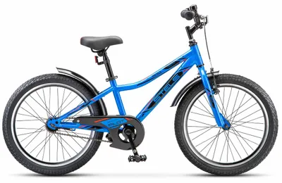 Велосипед детский STELS Pilot 210 20 Z010