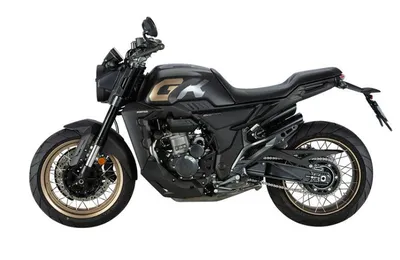 Мотоцикл ZONTES ZT350-GK EFI 17/17